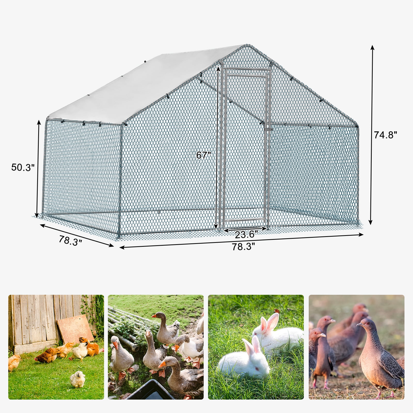 Ktaxon 6.5x6.5ft Metal Chicken Coop with Run, Walkin Poultry Cage Ktaxon 6.5x6.5ft Metal Chicken Coop with Run, Walkin Poultry Cage