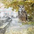 thumbnail image 1 of Señuelo de búho para ahuyentar pájaros | Colgante de espantapájaros realista con campanillas de viento para jardín, patio y balcón | Repelente de plagas para plantas y árboles frutales, 1 of 6