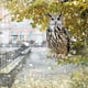 thumbnail image 1 of Señuelo de búho para ahuyentar pájaros | Colgante de espantapájaros realista con campanillas de viento para jardín, patio y balcón | Repelente de plagas para plantas y árboles frutales, 1 of 6