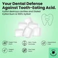 thumbnail image 5 of Dialed Xylitol Gum (250 Pieces) | 100% Xylitol | Healthy Dental Gum to Protect Teeth | Aspartame Free | Sugar Free, Gluten-Free, Vegan | Natural Spearmint Flavor, 5 of 8