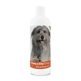 Best shampoo for cane corso discount