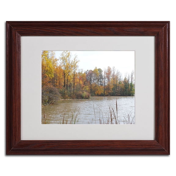 Trademark Fine Art "Just a Wonder" by Monica Fleet, Wood Frame