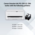 thumbnail image 3 of Paquete de Cartuchos de Tinta Canon PG-295 CL-286 para PIXMA, 3 of 4