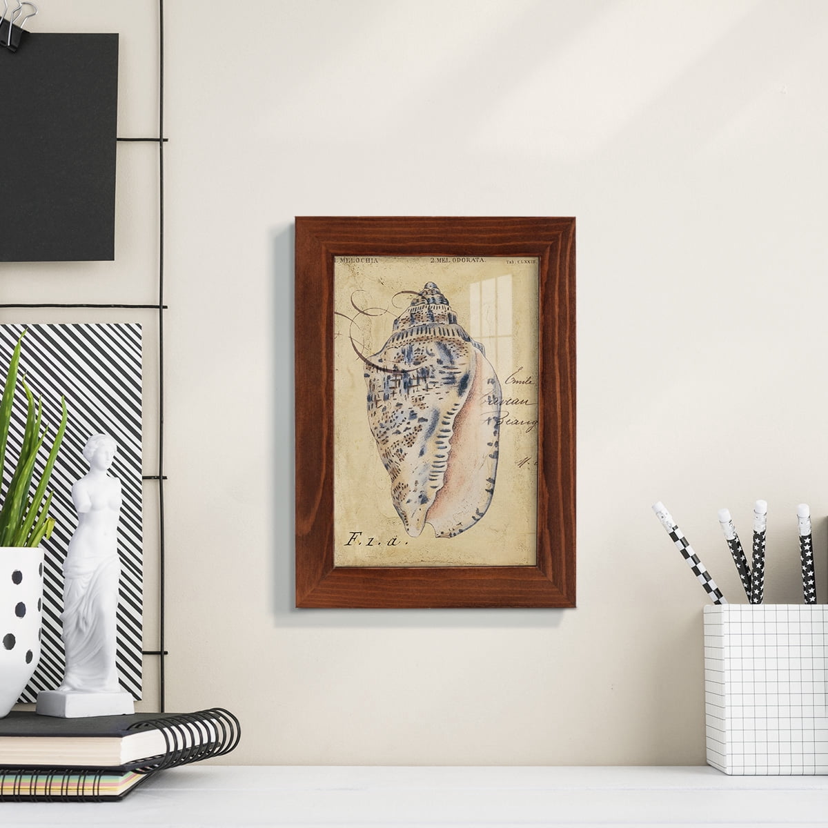 Seashell Ephemera I - Framed Print w/glass - Chestnut