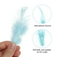 thumbnail image 3 of Uxcell 2.8''-5.5'' Saddle Hackle Rooster Feather Bulk Natural Feathers Fluffy Craft Feathers 100 Pcs Light Blue, 3 of 6