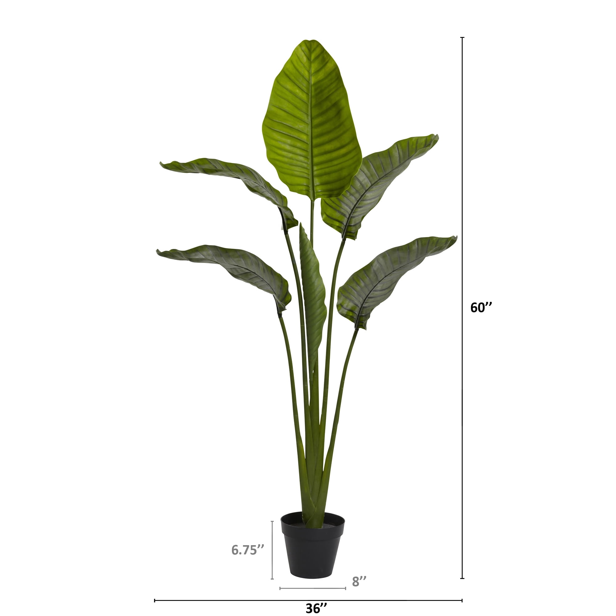 Nearly Natural 60in. Travelers Palm Artificial Tree (Indoor/Outdoor), Green