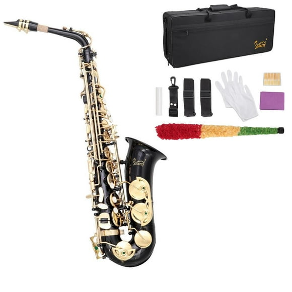 Glarry Adulte Eb Alto Saxophone Kit W / 11 Anches Accessoires de Cas, Noir