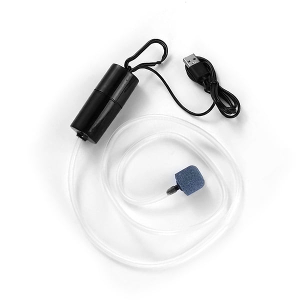 Bomba de agua Greeniant Generador de oxígeno Compresor de aire para acuarios al aire libre Type6 NO6