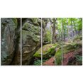 thumbnail image 2 of Wild Deep Moss Forest Ukraine, 2 of 3