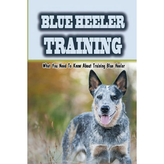 Blue Heeler Training: What You Need To Know About Training Blue Heeler: Blue Heeler Training Commands