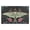 Beautiful Moth, variant on 32"x20" Door Mat Mat Absorbent & Non-Slip Entryway Rug Washable Floor Mat Cute Cartoon Llama Pattern