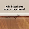thumbnail image 6 of Raid Max Liquid Ant Bait, Kills the Colony, Ant Poison Bait Stations for Home, 4 Count, 6 of 16