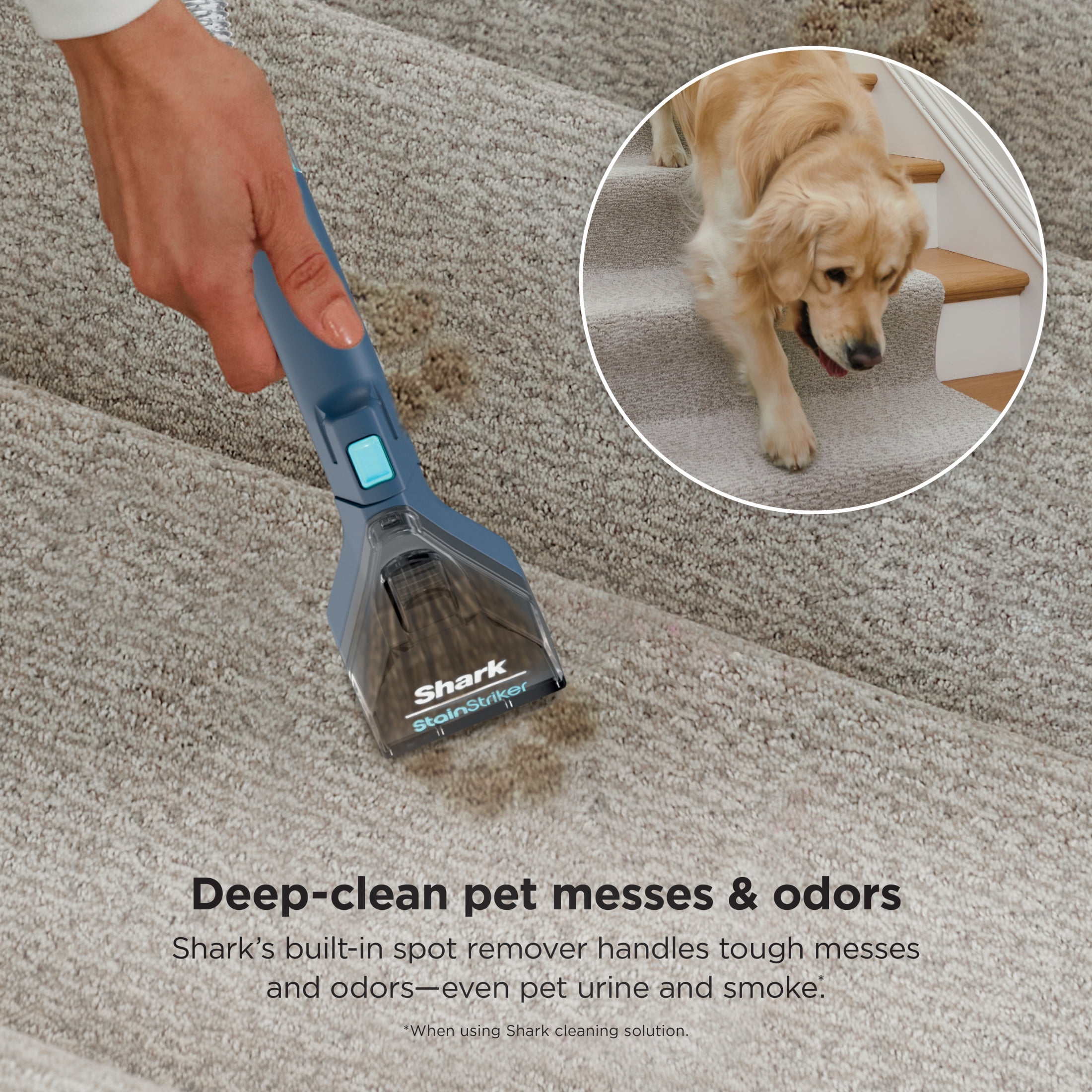Shark CarpetXpert with StainStriker Upright Carpet & Area Rug Cleaner, Upholstery, Pet Friendly, Carpet Shampooer, 2 Tools, Cleaning Solutions, EX200 Navy