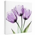 thumbnail image 2 of Ships Next Day Canvas Wall Art 8"x8", Purple Tulip Wood Framed Canvas Print Painting, Modern Blossom Pastel White Floral Petal Ready to Hang Small Picture Wall Decor for Home Bathroom Nursery Kitchen, 2 of 9