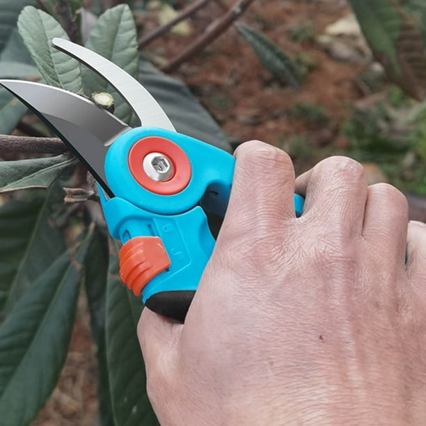 Plant cutting shears outlet