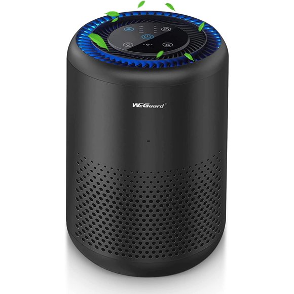 Best Air Filter Wildfire Smoke