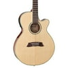 Takamine TSP138C Thinline Acoustic-Electric Guitar (Natural)