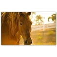 thumbnail image 1 of Picture-Tiles.com: Horse Ceramic Tile Wall Mural WAL500754-53M. 30"W x 18"H using (15) 6" x 6" Ceramic Tiles-Satin Finish, 1 of 3