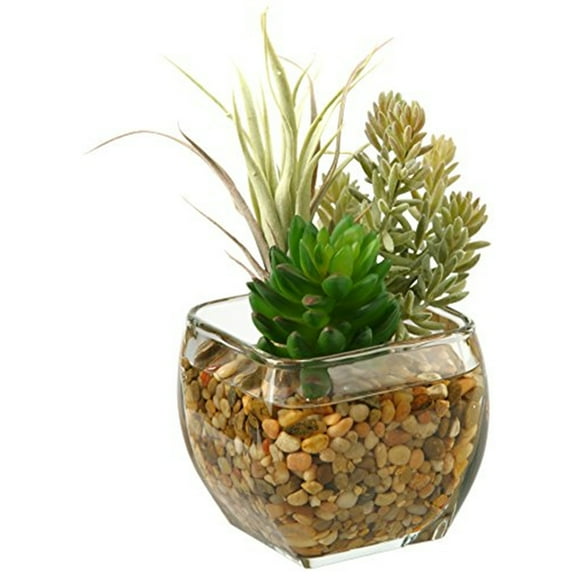 D&W Silks Succulent and Flocked Burro Tail in Glass Cube