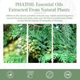 thumbnail image 6 of PHATOIL Juniper Essential Oils for Diffusers Humidifier 100% Pure Natural Aromatherapy Massage Bath Sleep Relaxation 30ml/1.01 fl.Oz, 6 of 7