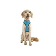 thumbnail image 4 of FurHaven Pet Harness | Mesh Dog & Cat Harness, Lagoon Blue, Extra Large, 4 of 4
