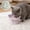 🔥 Purple_Base#443, variant on Ceramic Elevated Slow Feeder Bowl for Cats and Small Dogs, Non Slip Raised Slanted Pet Food Dish for Neck Protection and Better Digestion