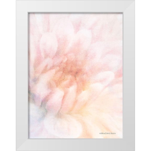 Bluebird Barn 15x18 White Modern Wood Framed Museum Art Print Titled - Soft Dahlia Pastel Peach