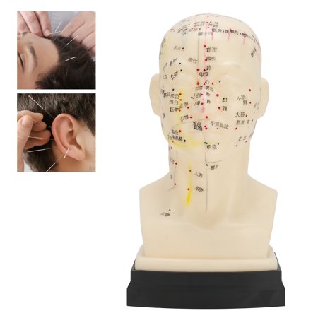 Herwey Pain Patch Analgesic Plaster Head Acupuncture Model Acupuncture ...