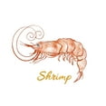 thumbnail image 2 of Pinto, Patricia 18x15 White Modern Wood Framed Museum Art Print Titled - Shrimp, 2 of 4