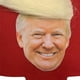 thumbnail image 2 of Trump Funny Hair - Enfriador latas portavasos para botellas vasos pinta, 2 of 4