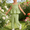 Green, variant on LJEFF Toddler Gingham 2PC Outfit, Ruffle Sleeve Square Neck Peplum Top Wide Leg Pants Casual Summer Set for Kids Green Size 5