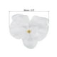 thumbnail image 2 of Uxcell 3.5" Cabezas de Orquídea Phalaenopsis de Seda Artificial para Decoración de Bodas DIY, Blanco Puro, Paquete de 20, 2 of 6