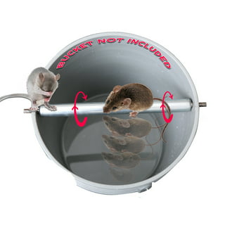 Buy Wholesale China Mouse Trap No Drilling Rust Proof Rolling Log Bucket  Mouse Trap With Hooks & Proof Rolling Log Mouse Trap at USD 9