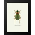 thumbnail image 2 of GraphINC 18x24 Black Modern Framed Museum Art Print Titled - Beetle Green, 2 of 5