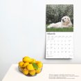 thumbnail image 5 of Great Pyrenees 2025 12 X 24 Inch Monthly Square Wall Calendar Plastic-Free (Wall), 5 of 9