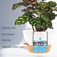 thumbnail image 4 of FIASON 9 Pack Plastic 5/5.5/6/6.5/7/8/9/10/12 Inch White with Brown Self Watering Plant Pots,Include Watering Lip,Drainage Holes & Removable Saucer for Indoor Outdoor Use, 4 of 10