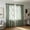 Green, variant on Hovilon French Floral Sheer Curtain, Rod Pocket Lace Window Drapes with Ruffled Edge, Light Filtering Polyester Voile for Bedroom Living Room, Vintage Soft Home Decor, White, 55x63 Inch