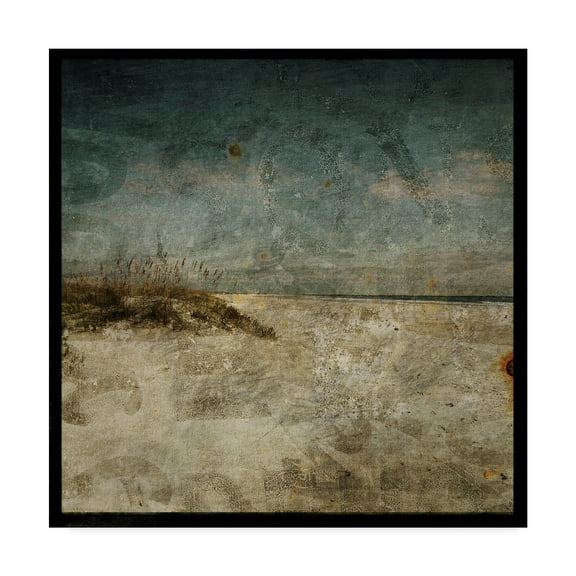 Trademark Fine Art 'Dark Beach' Canvas Art by John W. Golden