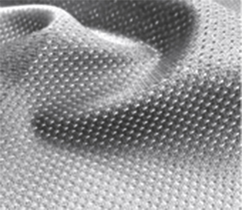 micro mesh fabric