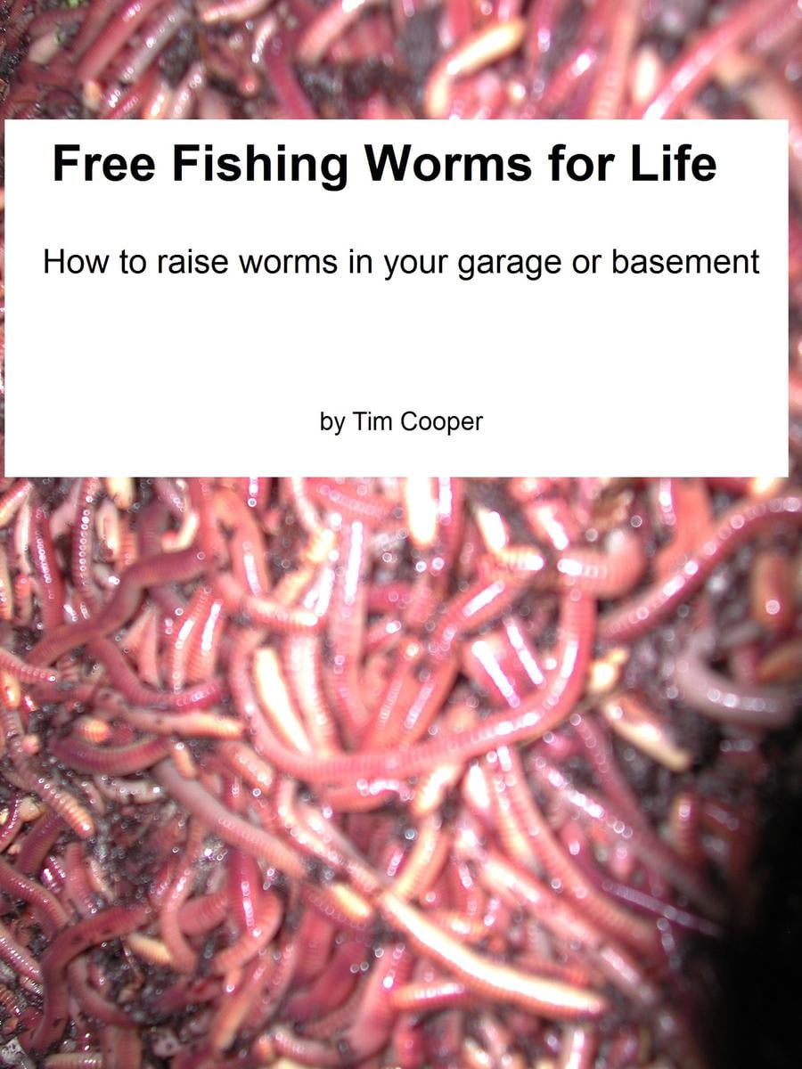 fishing worms walmart