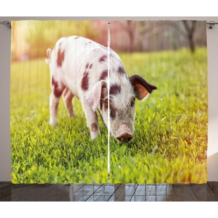 Image of Farm Animal Curtains 2 Panels Set Photo of Lovely Little Baby Pig with Spots Walking on Grass Blurred Backdrop Window Drapes for Living Room Bedroom 108 W X 63 L Multicolor by Ambesonne