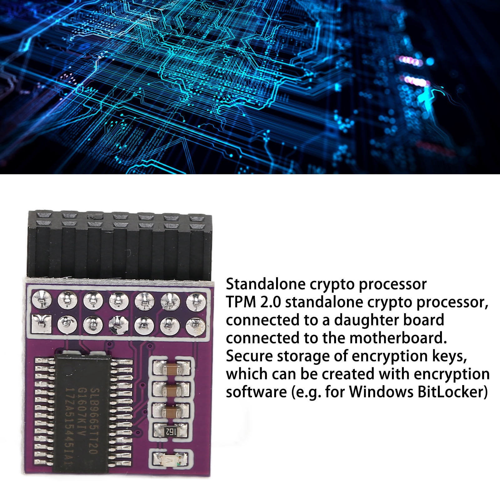 Carte Mere B550 Module De Sécurité TPM2.0 - ASROCK - Compatible Intel Série  100 Et AMD Carte Mere Micro Atx