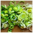 thumbnail image 3 of Everwilde Farms - 1 oz Organic American Flag Leek Seeds - Gold Vault Bulk Seed Packet, 3 of 3
