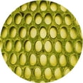 thumbnail image 1 of Ahgly Company Machine Washable Indoor Round Transitional Olive Green Area Rugs, 6' Round, 1 of 7