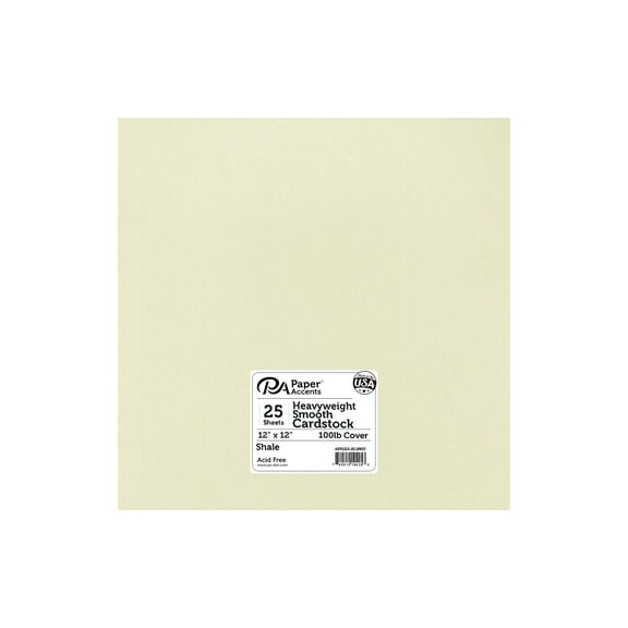Paper Accents Cardstock 12"x 12" Heavyweight Smooth 100lb Shale 25pc