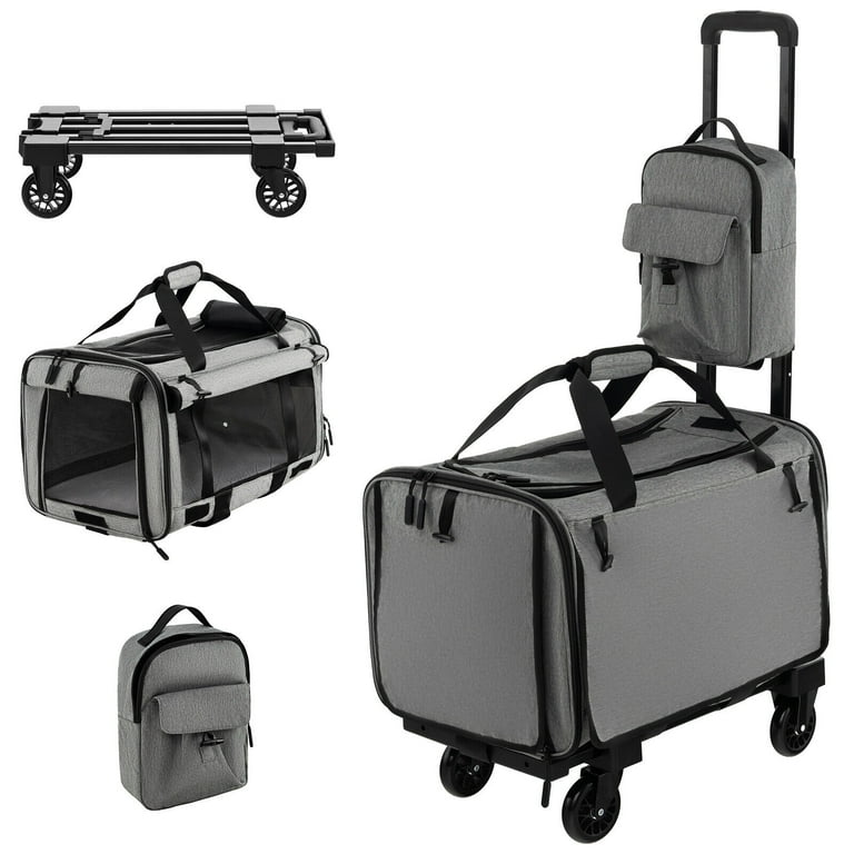 Rolling cat clearance carriers