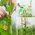 thumbnail image 5 of 4ft Natural Bamboo Plant Stakes for Tomatoes, Beans, Flowers, Potted, Climbing Plants 25pcs, 5 of 8