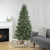 Northlight Clear Prelit LED Green Hinged Fir Granville Fraser Slim Artificial Christmas Tree, 7.5'