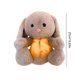 thumbnail image 5 of Peluche Dinosaurio Chupete para Bebé Con Música Y Luces Recién Nacidos (marrón Claro), 5 of 9