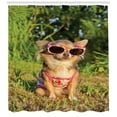thumbnail image 3 of Ambesonne Chihuahua Shower Curtain, Dog with Strappy Top, 69"Wx84"L, Multicolor, 3 of 3